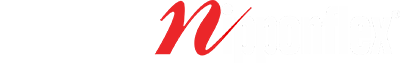 Blog Nipponflex Internacional